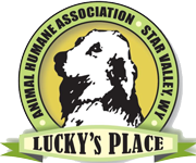 Animal Human Association Of Star Valley - Lucky's Place